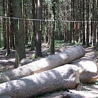 Vogelfutterabflugrampe: Hier dürfen die hungrigen Vogelkinder sich einen Wurm schnappen und anschließend in die Arme der Eltern fliegen.