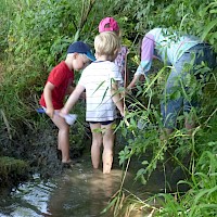 Vielleicht hat sich etwas unter den Wasserpflanzen versteckt?
