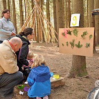 Welche Frucht gehört zu welchem Baum?