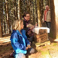 Wieviele Zapfen von welchen Bäumen stecken in diesem Glas? 334 Zapfen von Fichte, Lärche und Kiefer