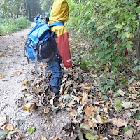 Blätterrascheln