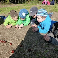 Schnippnuss - wer trifft die Kastanien?