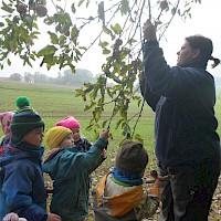 Ziehen und Schütteln - leider fällt nichts herunter.