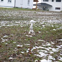 Ich war einmal ein stolzer Schneemann!