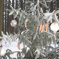 Der alte Christbaum bekommt nun Winterschmuck!