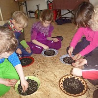 In den mit Erde gefüllten Tellern wird Ostergras angesät.