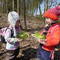 Der Osterhase hat die Nester im Wald versteckt!