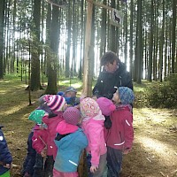 Der alte Maibaum wird umgelegt......