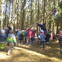Mit vereinten Kräften und viel "Hau-Ruck" wird der Baum aufgestellt.