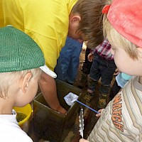 Das verwaiste Aquarium wird noch auf andere Lebewesen untersucht.