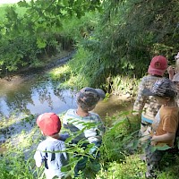 Am Ende werden die kleinen Wasserbewohner in den Lausbach entlassen.
