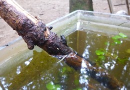 Vom Wasser ans Land!