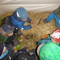 Zwischen den Strohballen hat ein Vogel sein Nest gebaut.