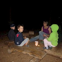 Märchenstunde im nächtlichen Wald.