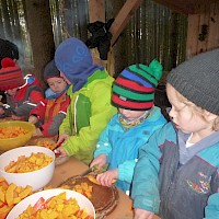 Viel Kürbis für viel Suppe!