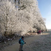 Winterzauber auch ohne Schnee.