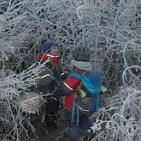 Ganz genau schauen, was Nebel und Frost da an die Zweige gezaubert haben!