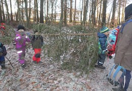 Christbaumtransporteure