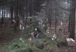Adventsgärtchen