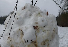ein freundlicher Wintergast