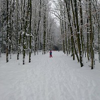 Spuren im Schnee