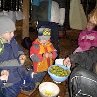 Die grünen Blättchen müssen entfernt werden.