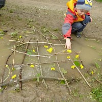 Löwenzahn-Landart