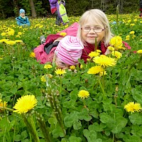 Eintauchen in die Löwenzahnwiese