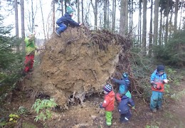 Eine Kletterwand mitten im Wald.