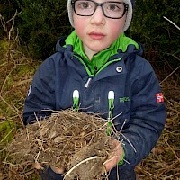 Ein verlassenes Vogelnest war im Gebüsch versteckt.