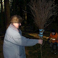 Ein Stiel darf nicht fehlen.