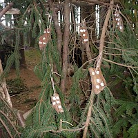 Rindenlebkuchen am Hexenhaus