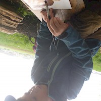 Der stolze Rehbock darf am Maibaum nicht fehlen
