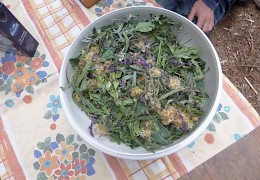 Eine Schüssel mit duftenden Kräutern