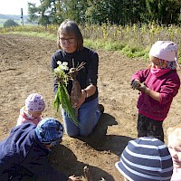 Zwischendurch kommt auch mal die Wiesenfee mit ihrem Freund, dem Erdwichtel auf Besuch.