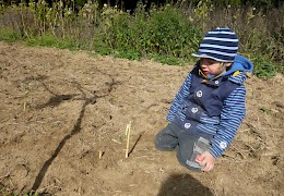Ob mein Baum noch wächst?