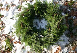 Unser schöner Adventskranz