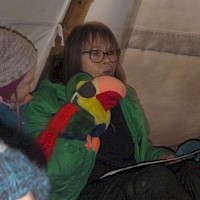 Piratenpapagei Josi weiß viel zu erzählen.