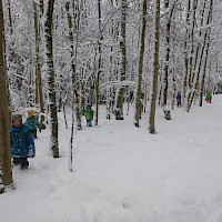 Knietief durch den Winterwald....