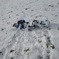Schneekontakt....
