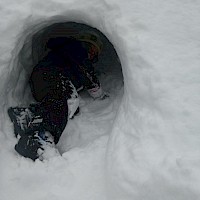 Fast wie bei den Inuits...