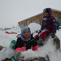 Schneemäuse