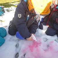 Mit Lebensmittelfarbe und Sprühflasche wird der Schnee bunt.