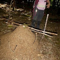Wir bauen gleich noch eine zweite Stange darüber.