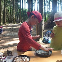 Die unterschiedlichen Scherben und Waldschätze werden in die Klebemasse gebettet.