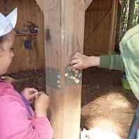 Mit dem letzten Kleber und ein paar Ostereierschalen verzieren wir noch unseren Schuppen im Wald!