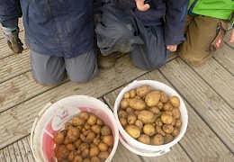 Unsere fleißigen Erntehelfer