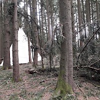 Gleich hinterm Tipi ging ein weiterer Wipfel zu Boden.