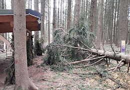 Noch mal Glück gehabt!