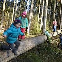 Balancieren und Springen! Immer wieder!